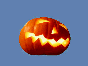 Dynia co się gapisz